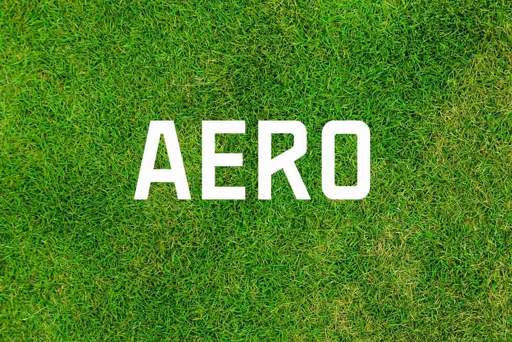 Aero Pro font family