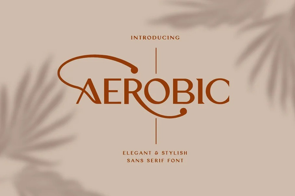 Aerobic Pro Font Family
